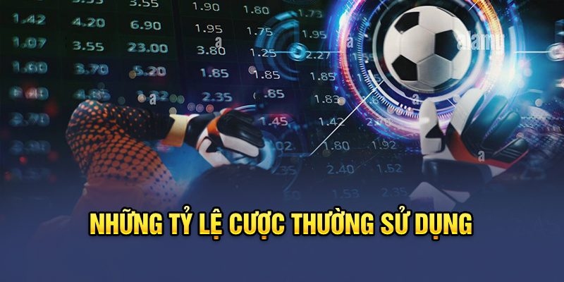 Đa dạng hình thức đặt cược hấp dẫn