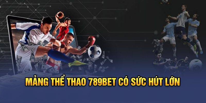 Lý giải sức hút của cá cược thể thao tại 789bet